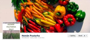 Heinän Puutarha