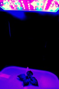 LEDFINLAND5