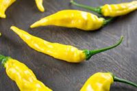 Aji Pineapple